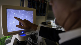 Microfiori-robot fatti di Dna per recapitare farmaci nel corpo