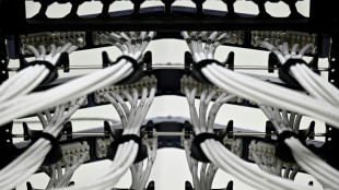 Schwarz Gruppe: KI-Rechenzentrum im Spreewald soll Unabhängigkeit sicherstellen 