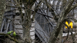 Paris adopte son troisième plan biodiversité en misant sur les haies