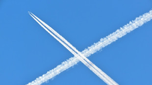 Southwind Airlines scheitert mit Eilantr&auml;gen gegen Flugverbot vor Berliner Gericht