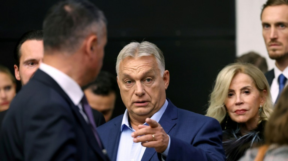 Orban &uuml;berzieht EU mit Vorw&uuml;rfen und will Trump-Sieg feiern