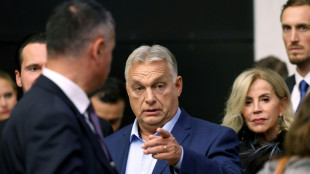 Orban h&auml;lt Rede im EU-Parlament in Stra&szlig;burg