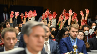 Demonstranten unterbrechen US-Kongressanh&ouml;rung zu Israel-Hilfen