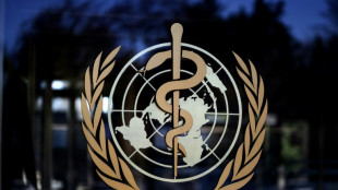 WHO gelingt Belieferung zweier Krankenh&auml;user im Norden des Gazastreifens