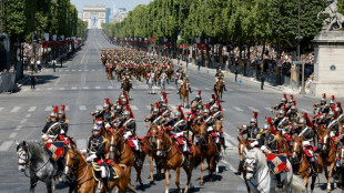 Paris Olympic horses to be awarded military medals
