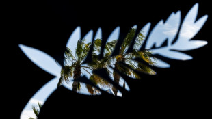 Le 77e Festival de Cannes s'ouvre, un cin&eacute;aste iranien appelle au secours