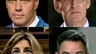 Who are the candidates in Spain's general election?