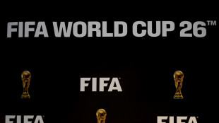 Mondiali: Fifa lancia gara appalto per i diritti media in Italia
