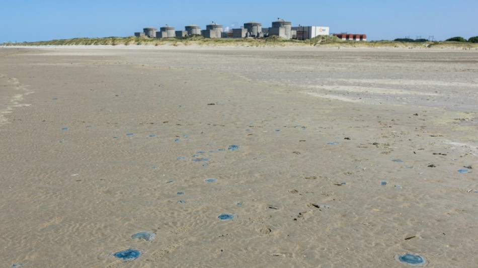 M&eacute;duses et canicule: pic d'indisponibilit&eacute; "environnementale" record de 20,4% dans le parc nucl&eacute;aire d'EDF