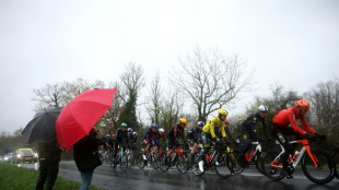 Abandona por una ca&iacute;da el l&iacute;der de la Par&iacute;s-Niza, el espa&ntilde;ol Juan Ayuso