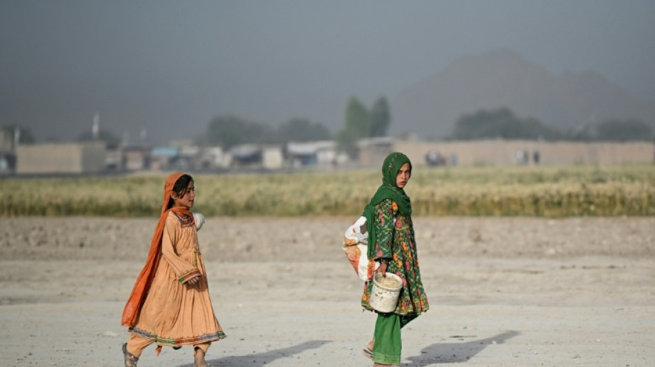 UN says 19 mn Afghans facing acute food insecurity by April