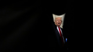 Trump verurteilt Sch&uuml;sse auf Soldaten der Nationalgarde in Washington als "Akt des Terrors"