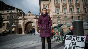 Greta Thunberg cesse sa gr&egrave;ve de l'&eacute;cole du vendredi apr&egrave;s son baccalaur&eacute;at