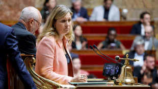 Retraite &agrave; 64 ans: baroud d'honneur exasp&eacute;r&eacute; des oppositions &agrave; l'Assembl&eacute;e