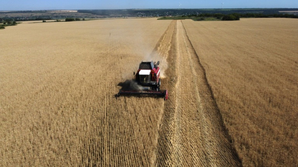 La Russie contr&ocirc;le 22% des terres agricoles en Ukraine, selon la Nasa