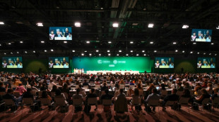 COP28 prop&otilde;e 'redu&ccedil;&atilde;o' das energias f&oacute;sseis em rascunho