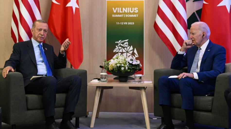 Turkey's Erdogan to hold White House talks with Biden in May