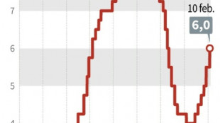 Banco central mexicano sube tasa de inter&eacute;s de referencia en 0,50 pp, al 6%
