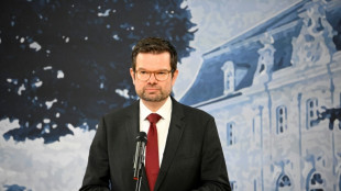 Buschmann rechnet mit Grundgesetz&auml;nderung zu Verfassungsgericht bis Jahresende