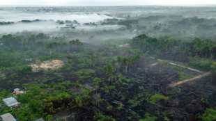 "Les incendies, &ccedil;a suffit!": en Amazonie, des habitants r&eacute;volt&eacute;s face &agrave; l'impunit&eacute;