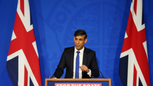 El primer ministro brit&aacute;nico dice que su plan para expulsar a migrantes a Ruanda "funcionar&aacute;"