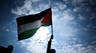 Mobilisations propalestiniennes: 86 personnes placées en garde à vue