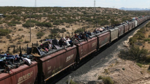 Plus d'un millier de migrants arrivent juch&eacute;s sur un train &agrave; la fronti&egrave;re mexico-am&eacute;ricaine