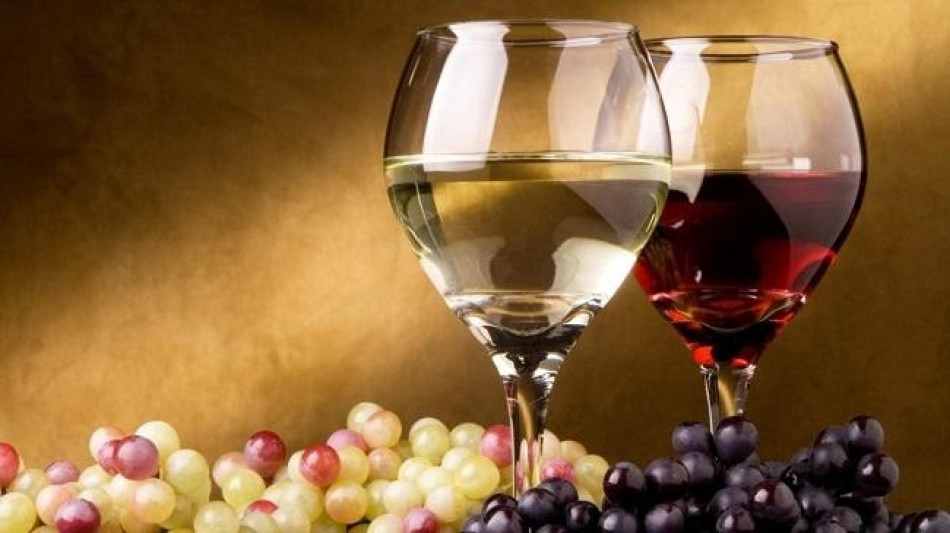 Milano Cortina: selezionati i 26 vini ambasciatori del made in Italy a Casa Italia