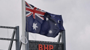 Copper powers profit rise at mining giant BHP 
