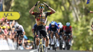 Tour de France: Laporte pour le premier succ&egrave;s fran&ccedil;ais, Vingegaard y est presque