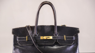 Oltre 7 milioni di euro per la Birkin di Jane Birkin