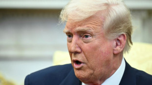 Trump optimistic about potential Ukraine ceasefire