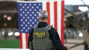 Des policiers de l'immigration en renfort dans les a&eacute;roports am&eacute;ricains