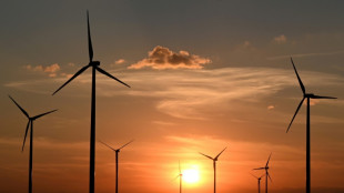 Rechnungshof bem&auml;ngelt Fehlen klarer Linien beim Klimaschutz