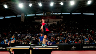 Tennis de table: Alexis Lebrun sacr&eacute; aux championnats de France fratricides