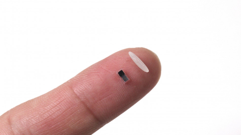 Messo a punto un pacemaker più piccolo di un chicco di riso