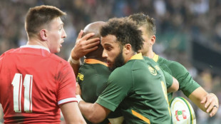 Rugby: l'Afrique du Sud remet les pendules &agrave; l'heure face aux Gallois