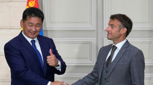 Macron re&ccedil;oit le pr&eacute;sident de Mongolie, l'exploitation d'une grosse mine d'uranium &agrave; la cl&eacute;