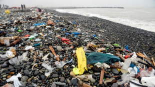 L'ONU vise une "premi&egrave;re version" d'un trait&eacute; contre la pollution plastique d'ici fin 2023