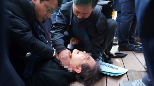 El l&iacute;der de la oposici&oacute;n de Corea del Sur fue apu&ntilde;alado en el cuello