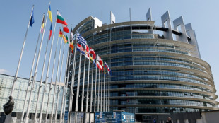 Les eurod&eacute;put&eacute;s appel&eacute;s &agrave; valider les nouvelles r&egrave;gles de l'UE pour le num&eacute;rique