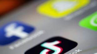 Albanien schaltet Tiktok f&uuml;r mindestens ein Jahr ab