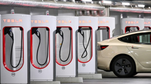 Ermittler pr&uuml;fen Bekennerschreiben nach mutma&szlig;lichem Stromanschlag gegen Tesla