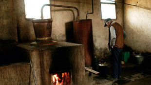 Bulgarian spirits inflamed by new rakia rules