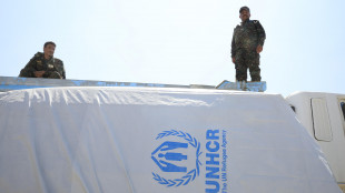 Liberi dodici dipendenti Onu trattenuti da Houthi in Yemen