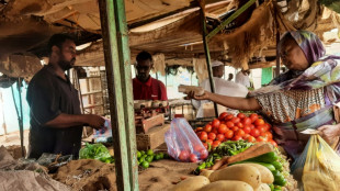 Soudan: rare r&eacute;pit dans les combats &agrave; Khartoum en vertu d'une tr&ecirc;ve