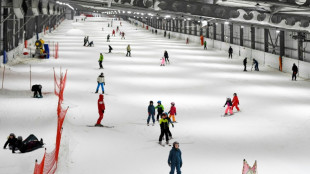Comment &ccedil;a pas de neige ? En Lorraine, on skie en salle