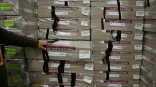 La escasez de combustibles afecta la distribuci&oacute;n de material para el balotaje en Bolivia