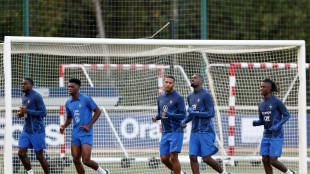 Foot: des Bleus &agrave; la d&eacute;fense remani&eacute;e avant les Pays-Bas