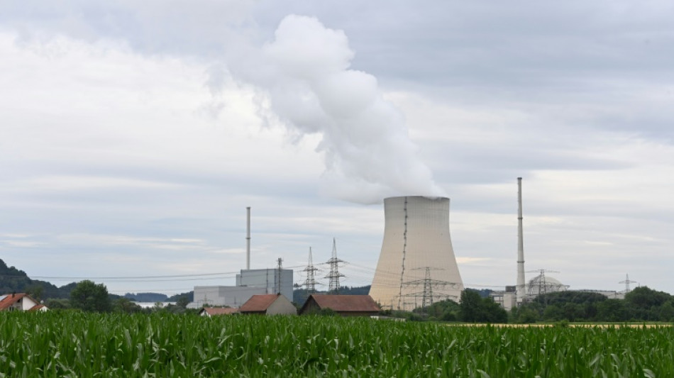 Umweltverb&auml;nde feiern bevorstehenden Atomausstieg als gro&szlig;en Erfolg